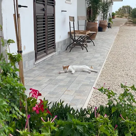 Bed & Breakfast Melita *